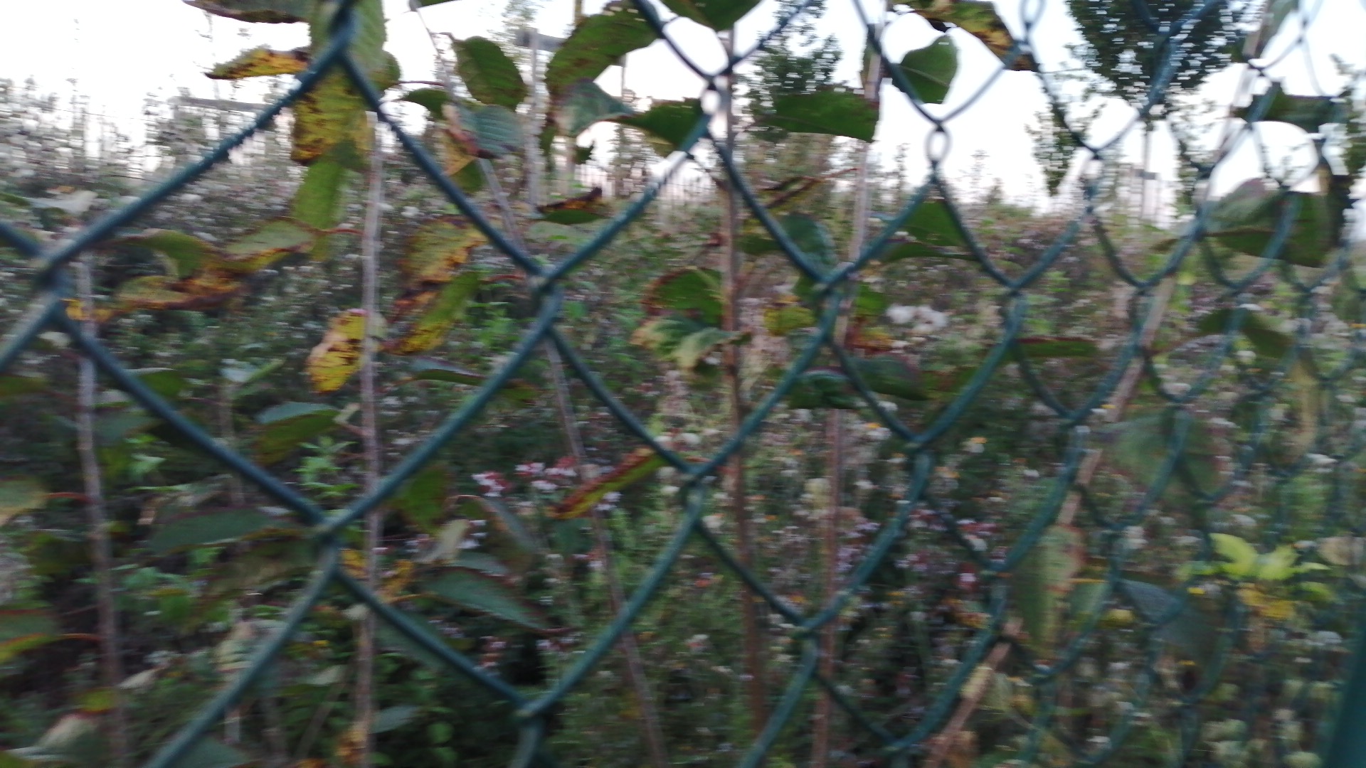 Photo n° 2 de l'avis de jean.a fait le 08/09/2023 à 18:02