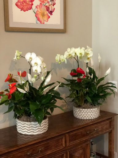 Florist «Frangipani Flowers & Gifts», reviews and photos, 1203 4th St, San Rafael, CA 94901, USA