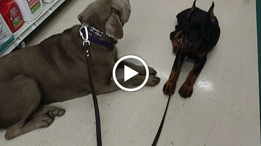 Farm Equipment Supplier «Family Farm & Home», reviews and photos, 66875 Gratiot Ave, Richmond, MI 48062, USA