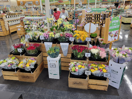 Shopping Mall «Bell Towne Plaza», reviews and photos, 245 E Bell Rd, Phoenix, AZ 85022, USA