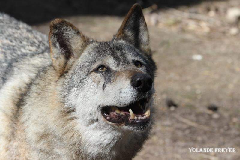 Photo n° 13 de l'avis de yolande.r fait le 24/10/2023 à 19:03