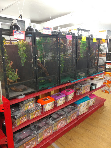 Reptile shops in Houston