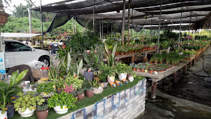 Ah Chui Nursery & Landscape Sdn Bhd
