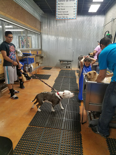Lucy's Doggy Daycare and Spa