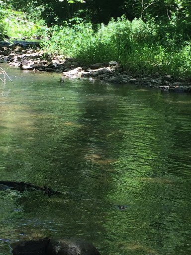 Winery «Wisteria Farm and Vineyard», reviews and photos, 1126 Marksville Rd, Stanley, VA 22851, USA