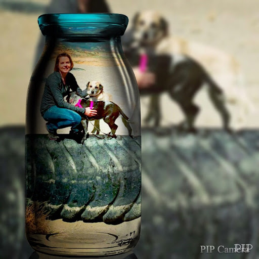 Pet Groomer «Spoiled Petz Pet Store and Grooming», reviews and photos, 12030 Donner Pass Rd #1, Truckee, CA 96161, USA