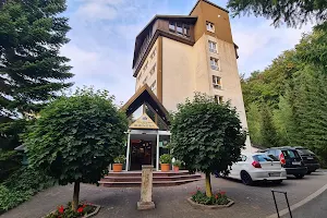 Hotel Reifenstein image