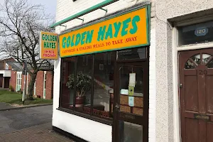 Golden Hayes image