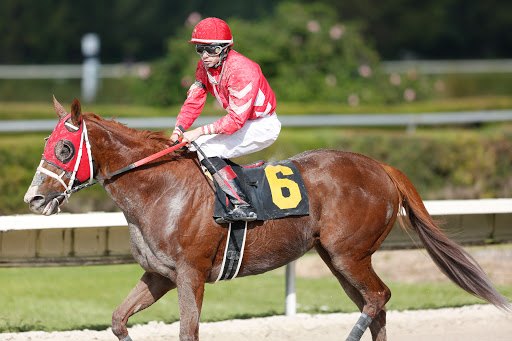 Racecourse «Gulfstream Park Racing and Casino», reviews and photos, 901 S Federal Hwy, Hallandale Beach, FL 33009, USA