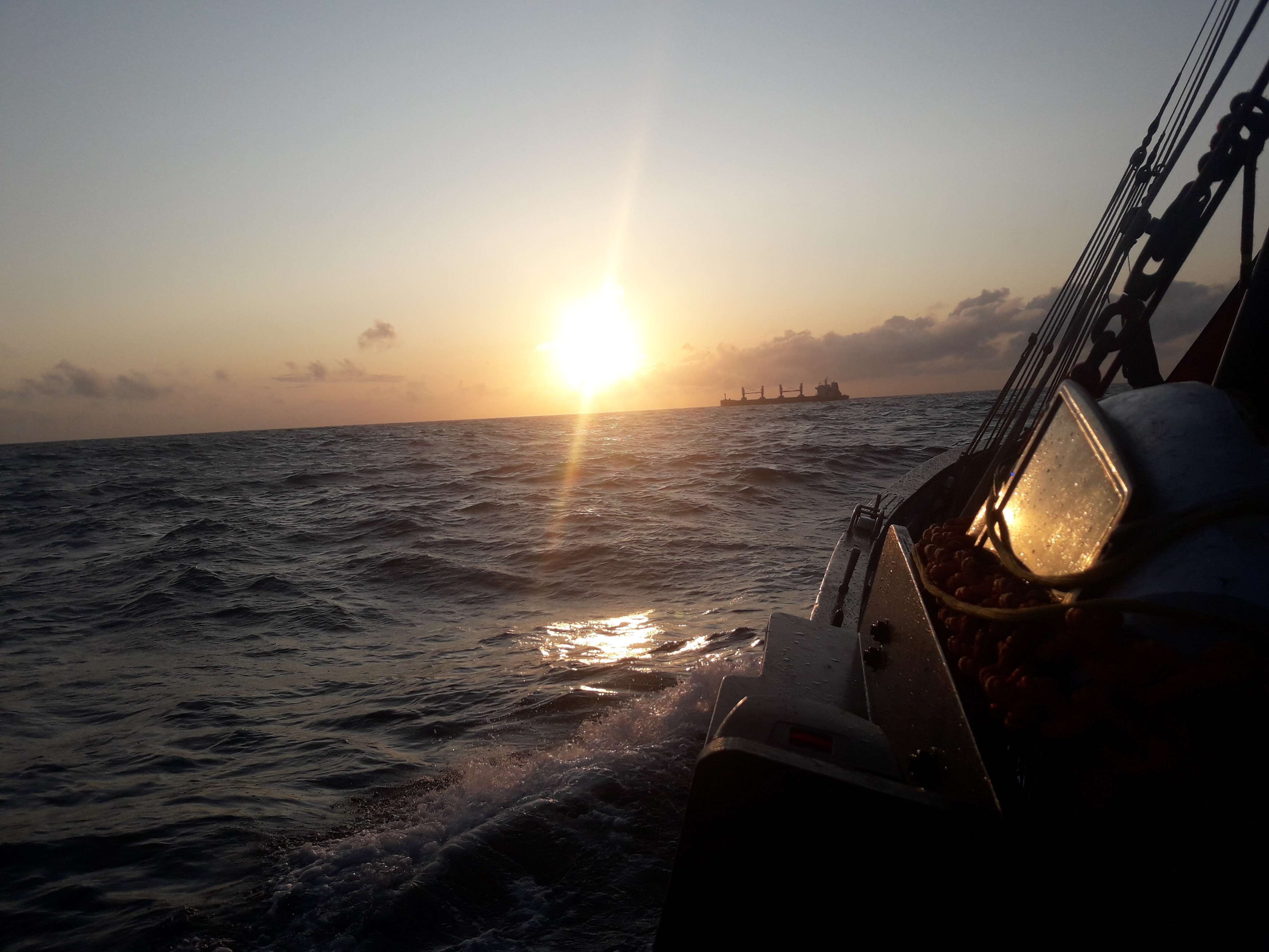 Photo n° 7 de l'avis de toni.n fait le 15/08/2019 à 11:48