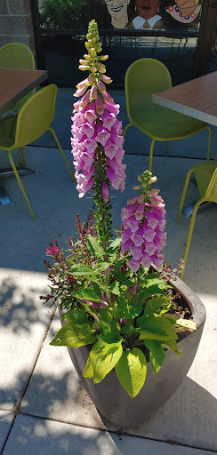 Grocery Store «Newport Avenue Market», reviews and photos, 1121 NW Newport Ave, Bend, OR 97703, USA