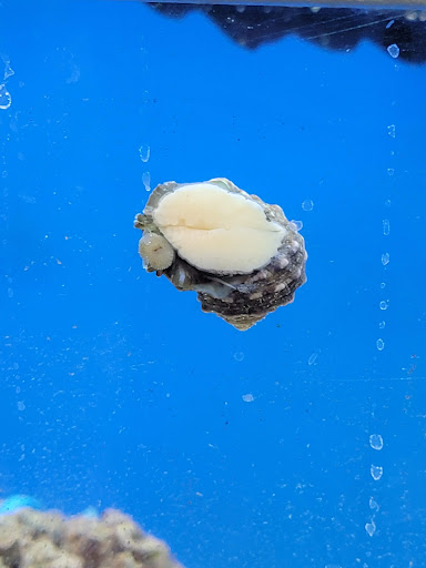 Pet Supply Store «Petco Animal Supplies», reviews and photos, 993 Branson Hills Pkwy, Branson, MO 65616, USA