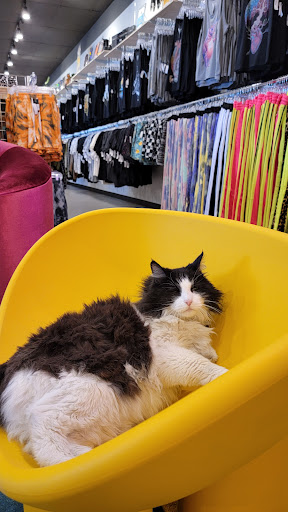 Used Clothing Store «iconoCLAD», reviews and photos, 414 300 S, Salt Lake City, UT 84111, USA