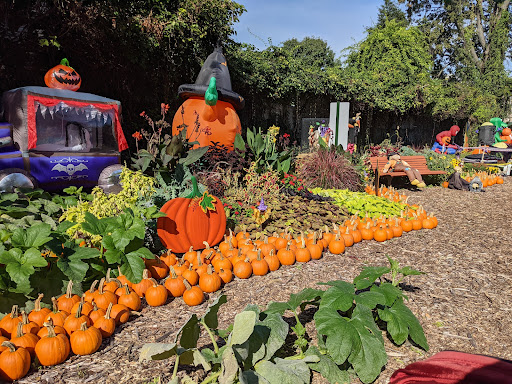 Florist «Blossom Time Florists», reviews and photos, 1868 Victory Blvd, Staten Island, NY 10314, USA