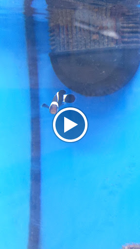 Pet Supply Store «Petco Animal Supplies», reviews and photos, 300 Hylan Dr, Rochester, NY 14623, USA