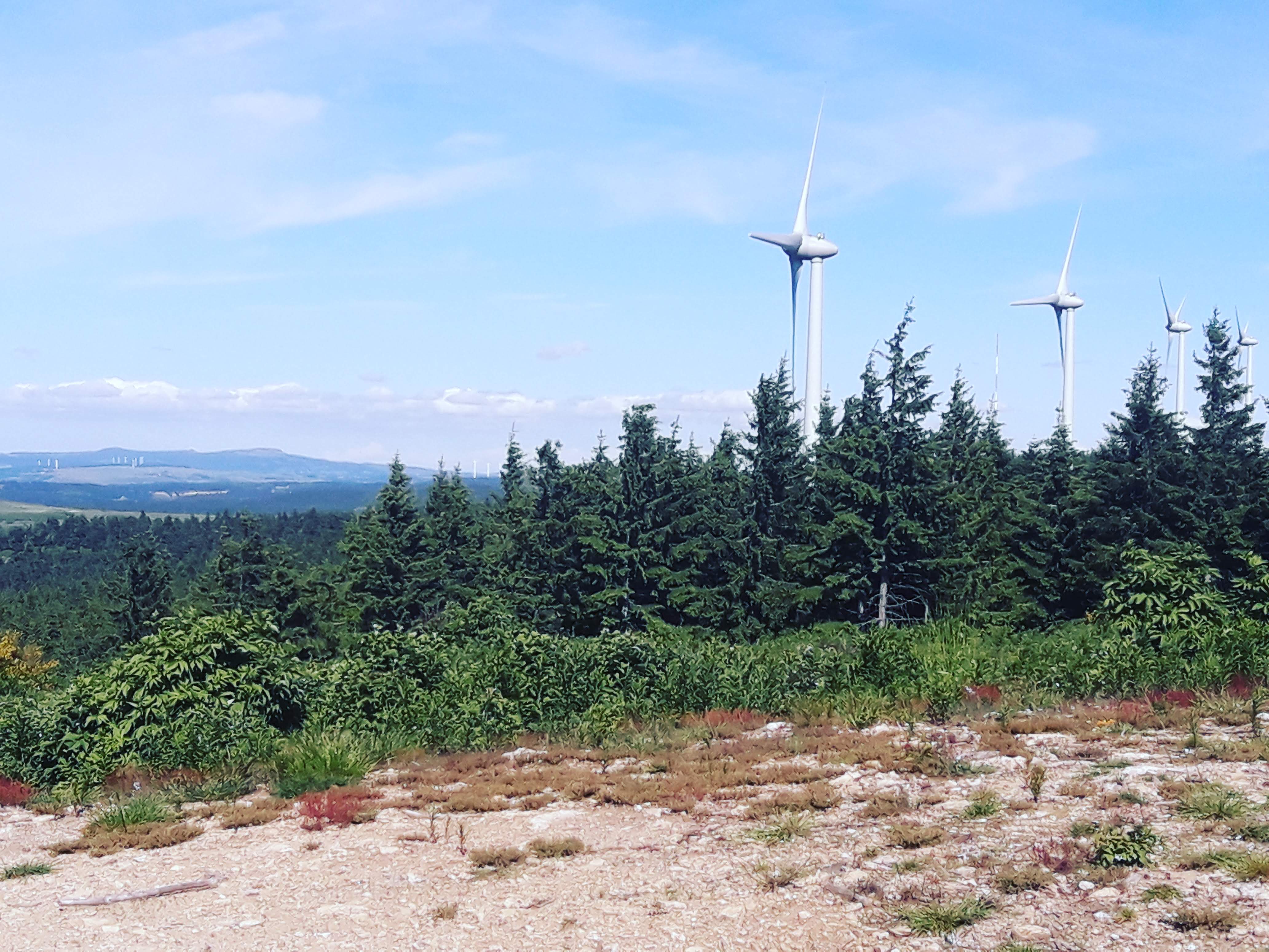 Photo n° 26 de l'avis de Stefe. fait le 27/06/2018 à 14:23