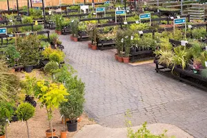 Brookside Garden Centre image