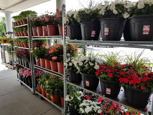 Supermarket «Stop & Shop», reviews and photos, 57-01 Sunrise Hwy, Holbrook, NY 11741, USA