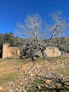 Cortijo del Hornillo (Ruinas) 23213 Santa Elena, Jaén, España