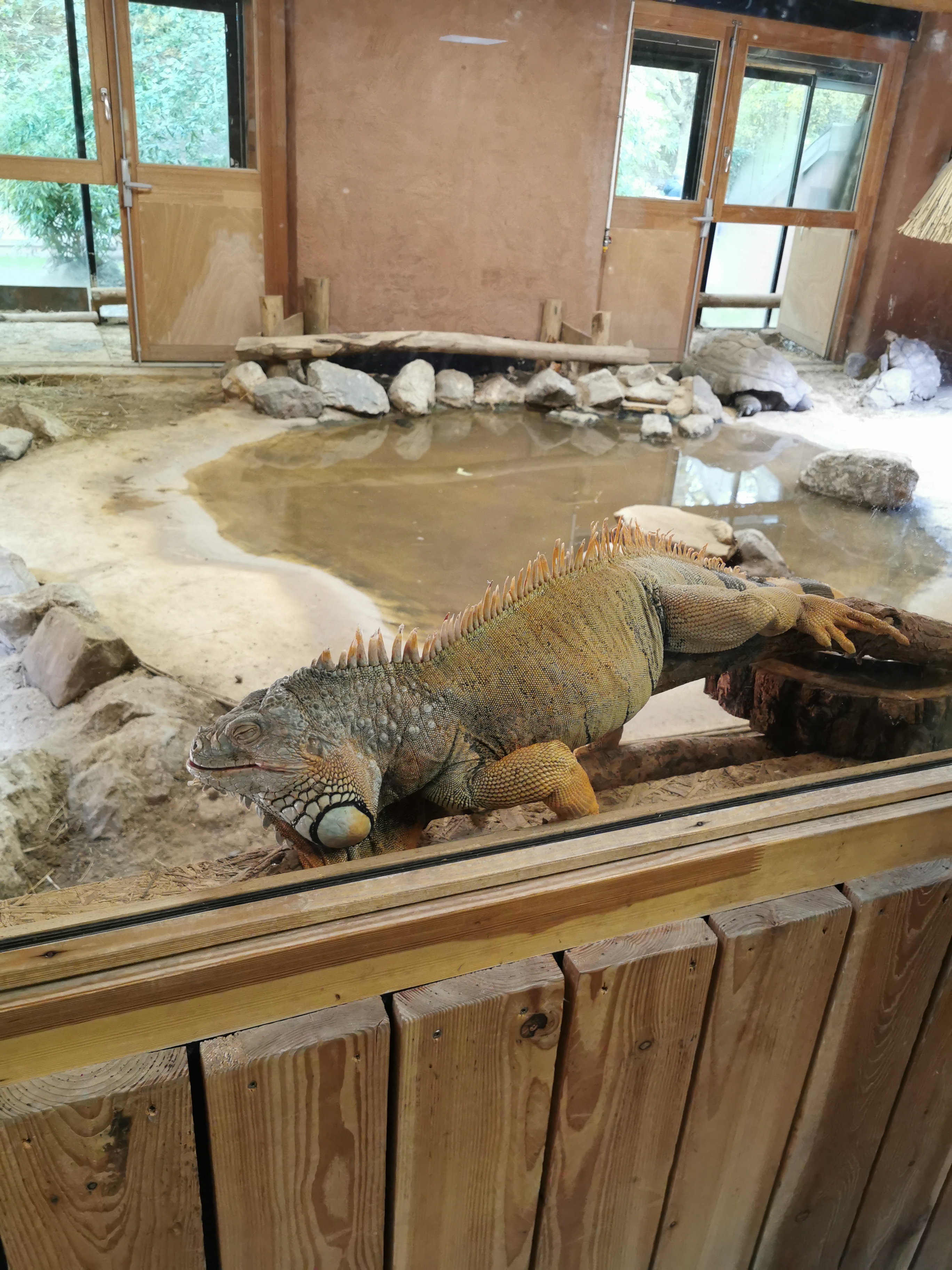 Photo n° 1 de l'avis de sabrina.e fait le 31/10/2020 à 21:38