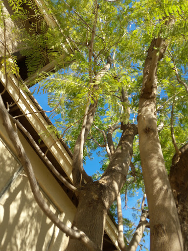 Park «La Paloma Park», reviews and photos, 6579 S Amanda Blvd, Chandler, AZ 85249, USA