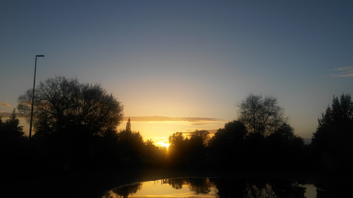 Shopping Mall «Northgate Shopping Center», reviews and photos, 2335 Northgate Blvd, Sacramento, CA 95833, USA