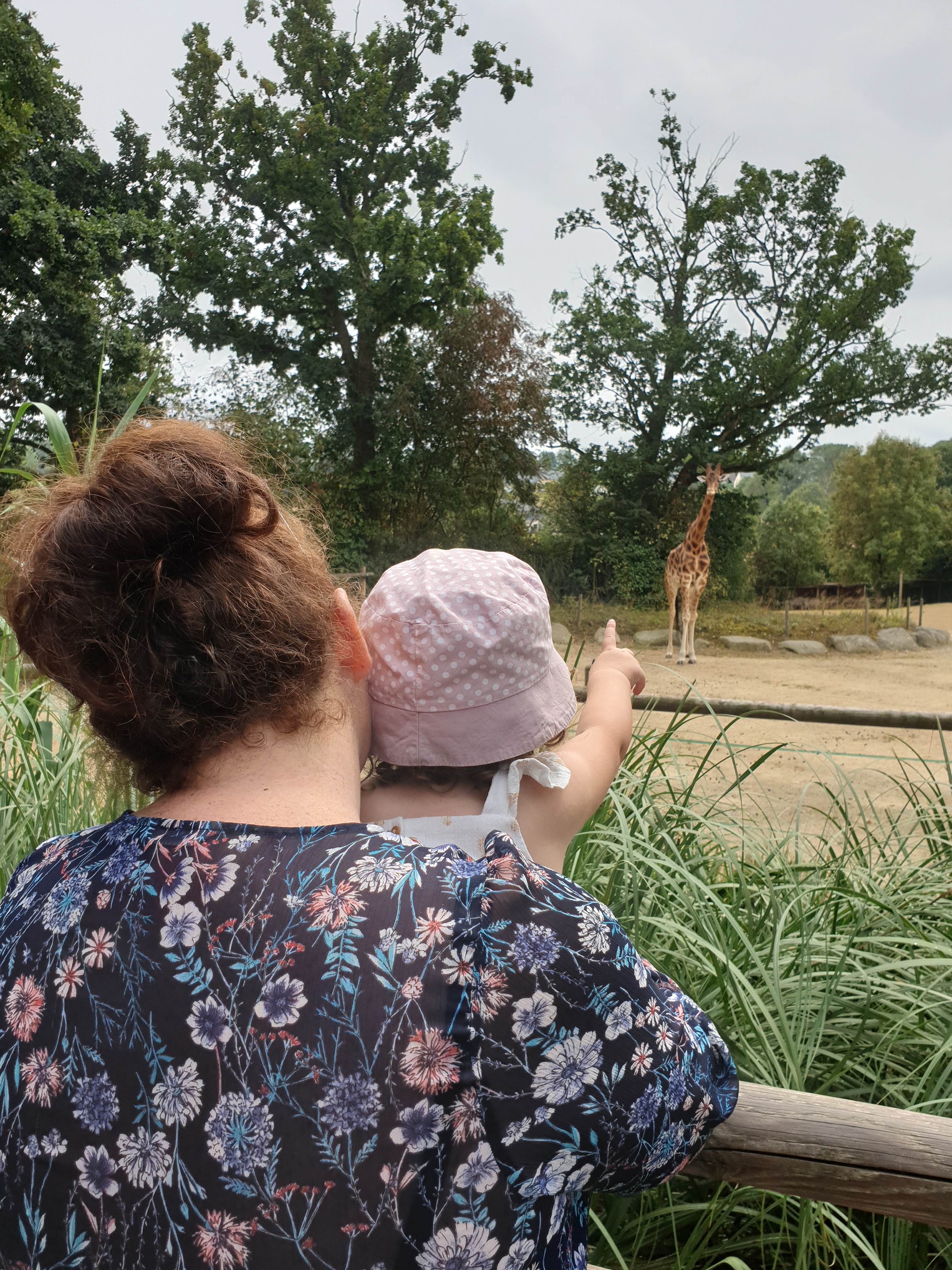 Photo n° 7 de l'avis de Jean-philippe.u fait le 13/08/2020 à 18:15