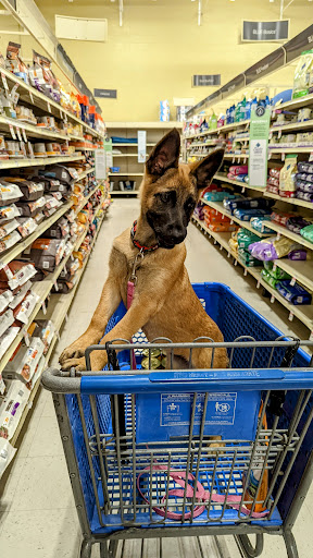 Shopping Mall «Gilroy Crossing Shopping Center», reviews and photos, 6915 Camino Arroyo, San Jose, CA 95112, USA