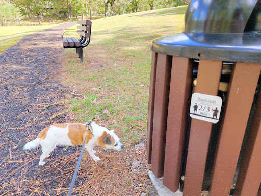 National Park «Moores Creek National Battlefield», reviews and photos, 40 Patriots Hall Dr, Currie, NC 28435, USA