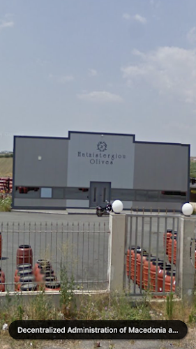 Opinii despre Hatzistergiou Olives în Μουδανιά - Κατασκευαστική εταιρεία