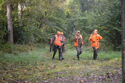 Bois d'Hondainville à Hondainville