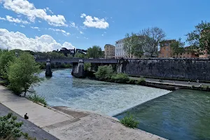 Isola Del Cinema image