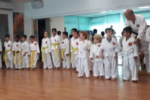 Shotokan Karate Do Seishin Union - קראטה בשילוב הגנה עצמית image