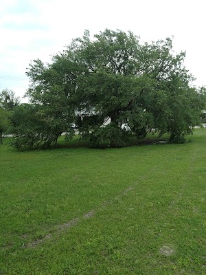 Northshore Lakefront - photo 57