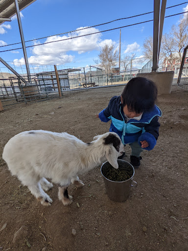 Zoo «Sierra Safari Zoo», reviews and photos, 10200 N Virginia St, Reno, NV 89506, USA