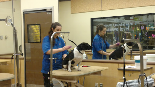 Pet Supply Store «PetSmart», reviews and photos, 139 Radio Dr, Stroudsburg, PA 18360, USA