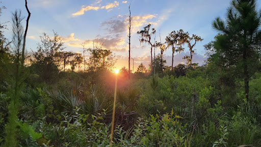 Park «Stephen J. Wortham Park», reviews and photos, 12108 Rhodine Rd, Riverview, FL 33579, USA