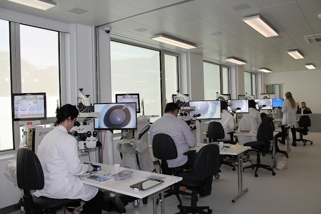 ETC (training centre, Viale Stefano Franscini 9, Villa Saroli (Uffici, Via agli Orti 20, 6901 Lugano