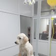 Turgutlu Anadolu veteriner kliniği