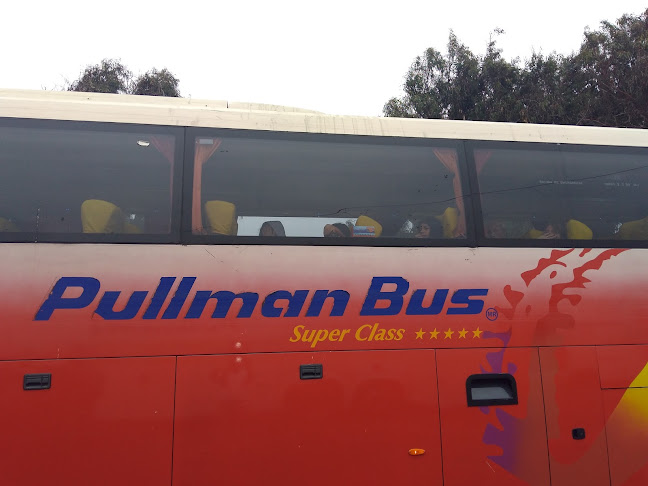 Comentarios y opiniones de Terminal de Buses Pullman Bus Los Vilos