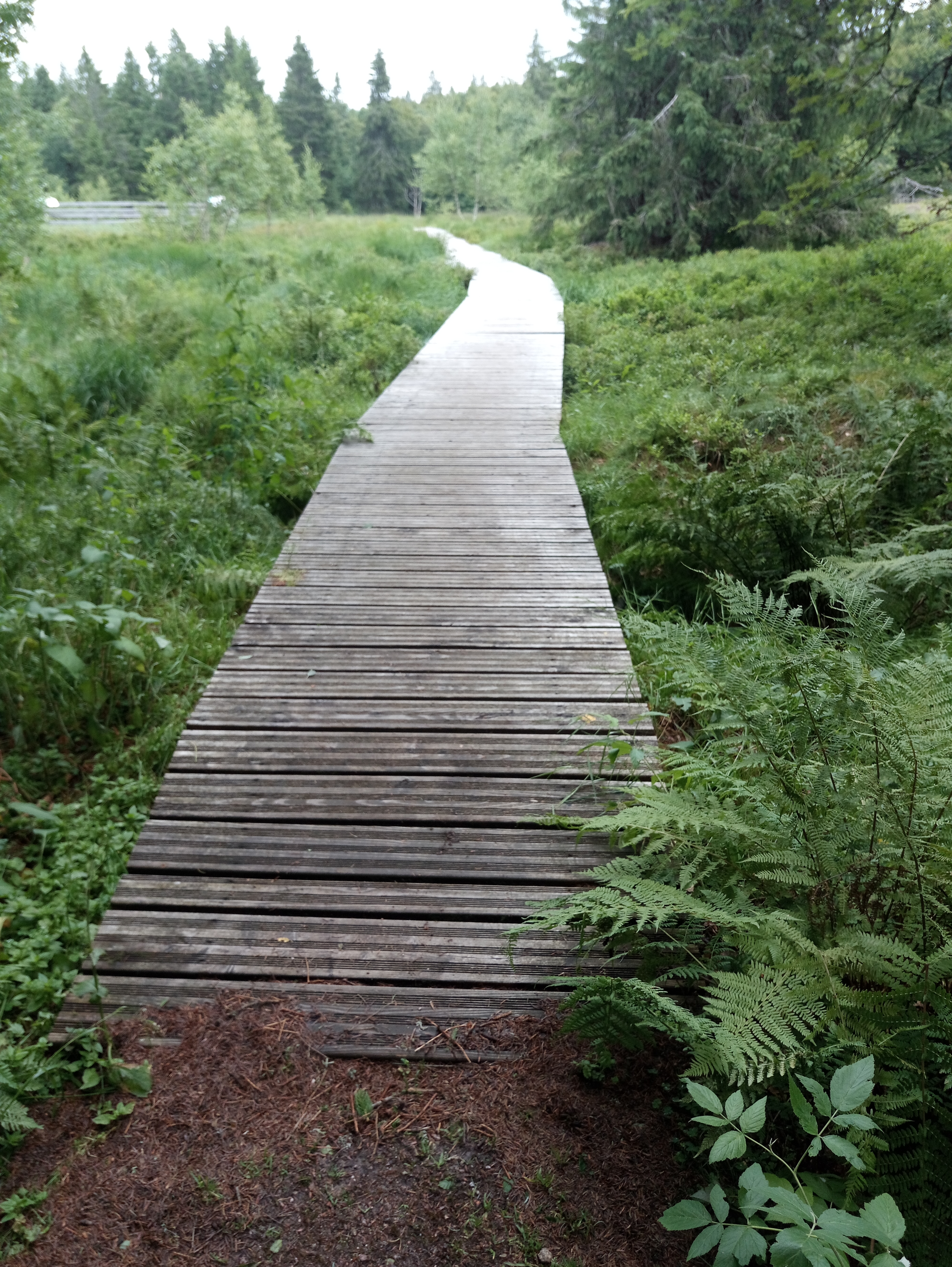 Photo n° 1 de l'avis de Pascal.a fait le 31/07/2019 à 06:36