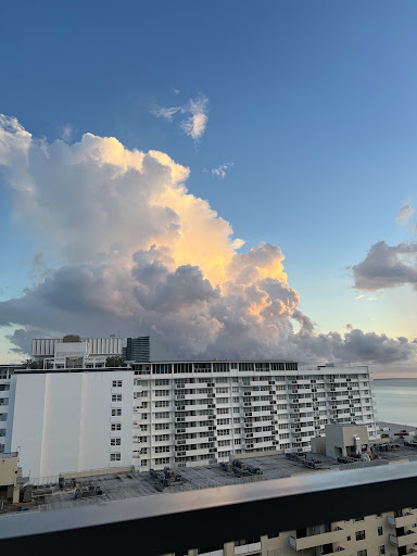 Hotel «Loews Miami Beach Hotel», reviews and photos, 1601 Collins Ave, Miami Beach, FL 33139, USA