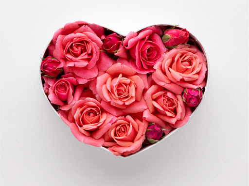 Florist «Flower A Day», reviews and photos, 2119 Grand Island Blvd, Grand Island, NY 14072, USA