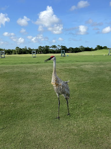 Golf Club «The Champion Turf Club at St. James», reviews and photos, 7900 Selvitz Rd, Port St Lucie, FL 34983, USA