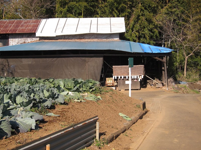 野菜直売所 イノキ農園