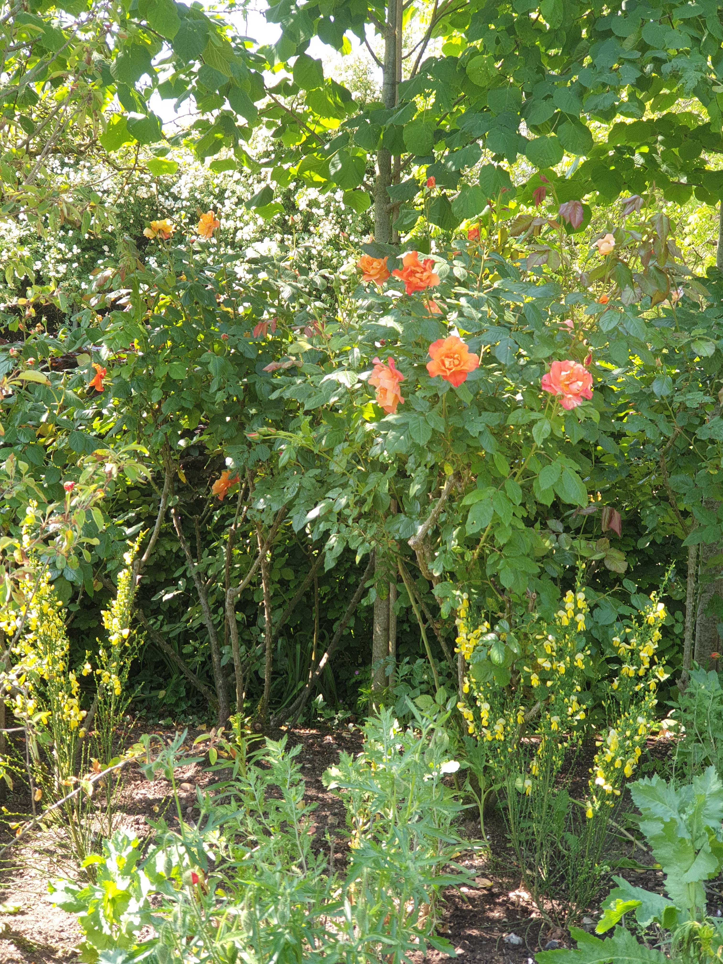 Photo n° 5 de l'avis de Christine.r fait le 30/05/2023 à 18:40