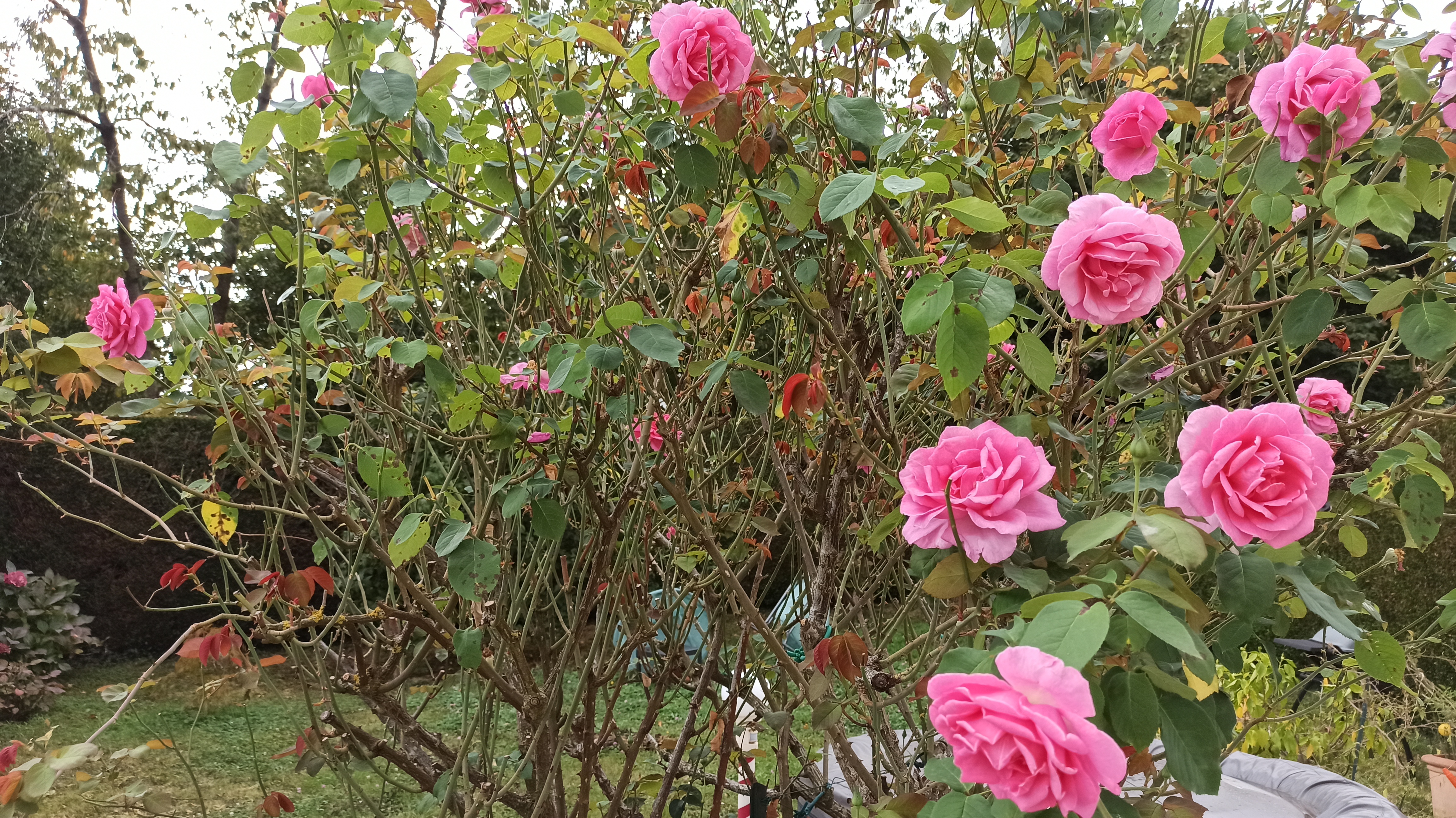 Photo n° 1 de l'avis de michele.o fait le 19/09/2021 à 13:48