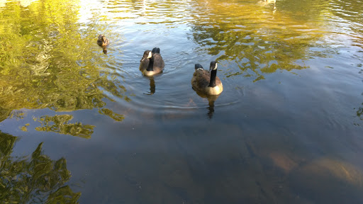 Park «Brandywine Park», reviews and photos, 1080 N Park Dr, Wilmington, DE 19802, USA