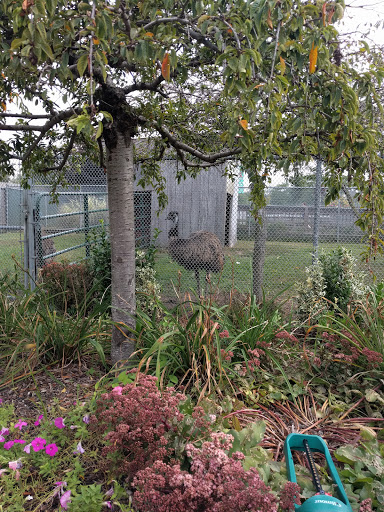 Wildlife Park «Wildlife & Ecology Center», reviews and photos, 249 Buckley Rd, Holtsville, NY 11742, USA