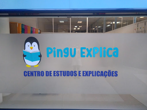 Pingu Explica - Centro de Estudos e Explicações